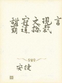 甜宠文现言推荐霸道总裁