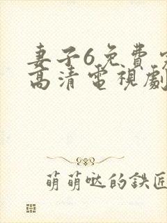 妻子6免费完整高清电视剧在线