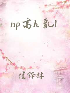 np高h 乱l