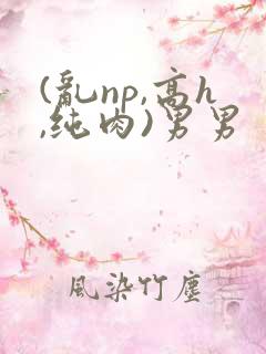 (乱np,高h,纯肉)男男