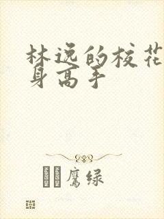 林逸的校花的贴身高手