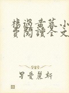 杨过黄蓉小说免费阅读全文