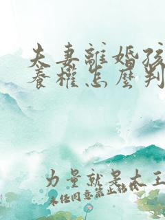 夫妻离婚孩子抚养权怎么判定