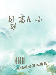 bl 高h 小说