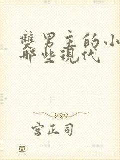 双男主的小说有哪些现代