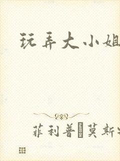 玩弄大小姐小说