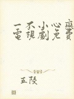 一不小心恋爱了电视剧免费观看