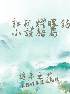 许我耀眼的原著小说结局