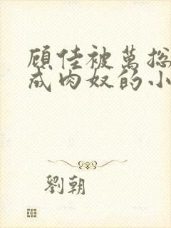 顾佳被万总调教成肉奴的小说