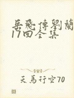 岳飞传刘兰芳117回全集