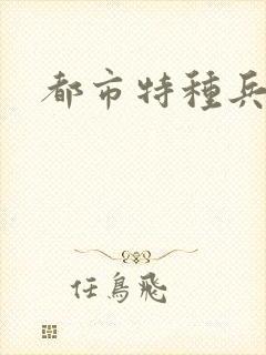 都市特种兵任天