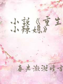 小说《重生七零小辣媳》