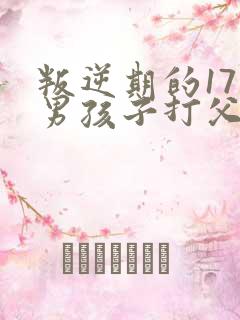 叛逆期的17岁男孩子打父母怎么办