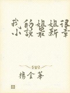 我的姐姐很弟控小说最新章节