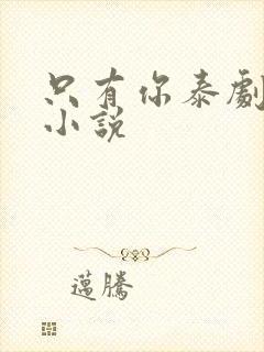 只有你泰剧原著小说