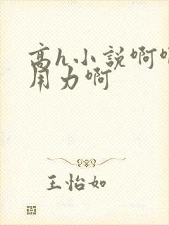 高h小说啊啊啊用力啊