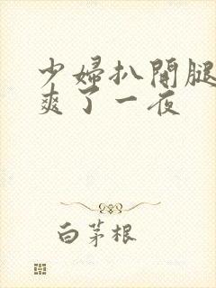 少妇扒开腿让我爽了一夜