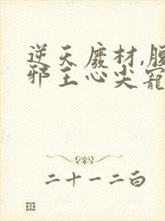 逆天废材,腹黑邪王心尖宠