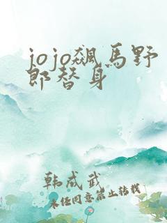 jojo飙马野郎替身