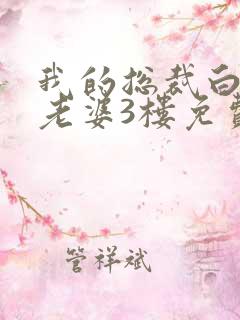 我的总裁白富美老婆3楼免费版