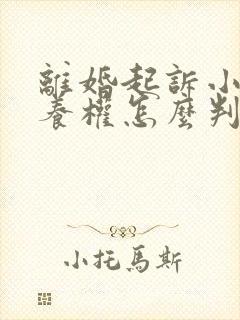 离婚起诉小孩抚养权怎么判