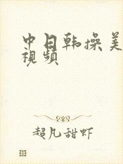 中日韩操美女逼视频