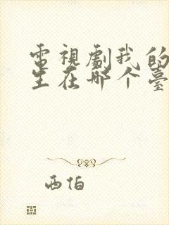 电视剧我的后半生在哪个台播放