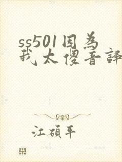 ss501因为我太傻音译歌词