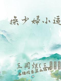 操少妇小逼小说