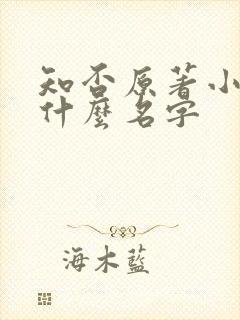 知否原著小说叫什么名字