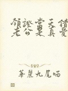 领证当天错认的老公是真爱短剧