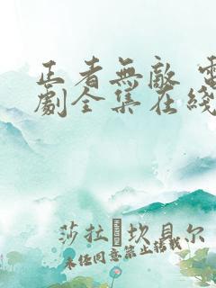 正者无敌 电视剧全集在线看