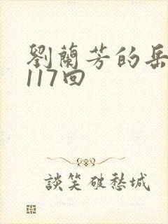 刘兰芳的岳飞传117回