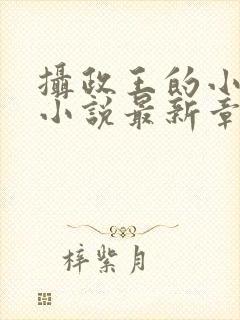 摄政王的小闲妻小说最新章节