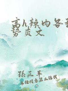 高h辣肉各种姿势爽文