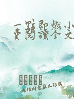 一点即燃小说免费阅读全文无弹窗