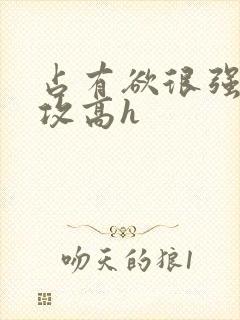 占有欲很强糙汉攻高h