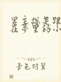 男主总是跟女主在梦里的小说