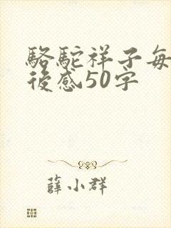 骆驼祥子每篇读后感50字