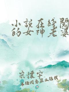 小说在线阅读我的女神老婆