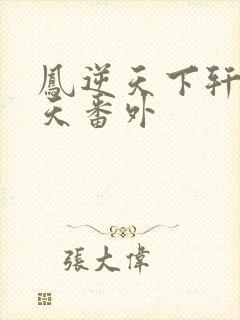 凤逆天下轩辕问天番外