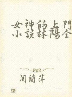 女神的上门贵婿小说林阳全文阅读