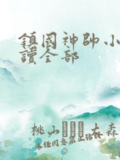 镇国神帅小说阅读全部