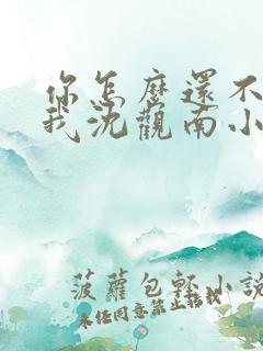 你怎么还不来哄我沈观南小说免费阅读