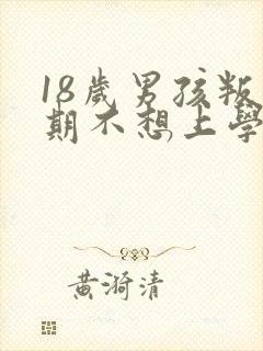 18岁男孩叛逆期不想上学怎么办