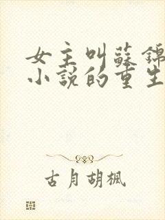 女主叫苏锦溪的小说的重生小说