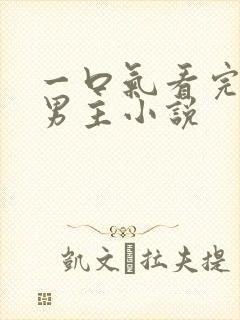 一口气看完的双男主小说