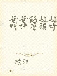 爸爸的姐姐丈夫叫什么称呼