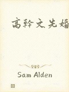 高干文先婚后爱