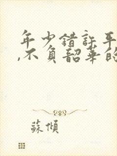 年少错许平生愿,不负韶华的出处及背景故事